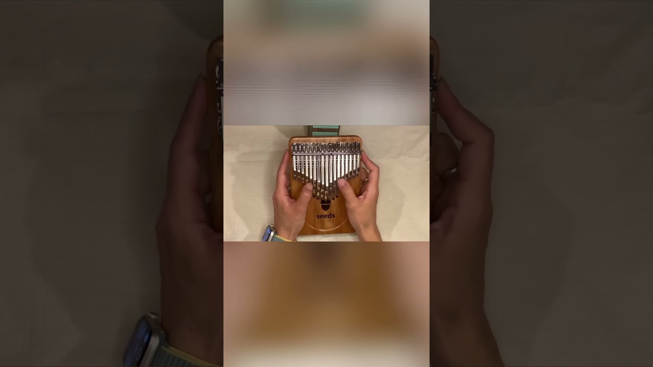 これ一台でOK！17音カリンバの完全上位互換クロマチックが爆誕 