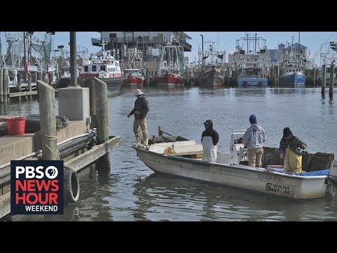 Climate change, development batter Mississippi Delta oysters