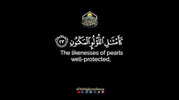 وَفَاكِهَةٍ مِمَّا يَتَخَيَّرُونَ (20)🌿Quran Status🌿مقاطع من القرآن الكريم🌿