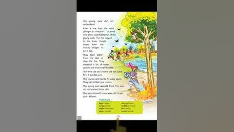 Class 2 English : chapter 9 The wise old owl part 2