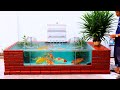 A simple, effective, compact outdoor fish tank for your garden