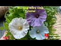 How to make a Morning Glory by clay [Long video]/ clay flowers tutorial / Hướng dẫn làm hoa Bìm Bìm