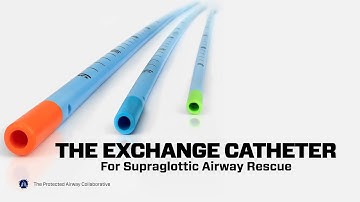 The Aintree Exchange Catheter