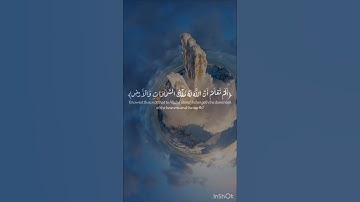 سورة المائدة 🤍 #قرآن #المصحف #ناصر_القطامي #قران_كريم #قرآن #ناصر_القطامي #العرب #سورة_المائدة