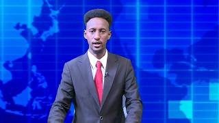 Warka Universal Tv 02 10 2026