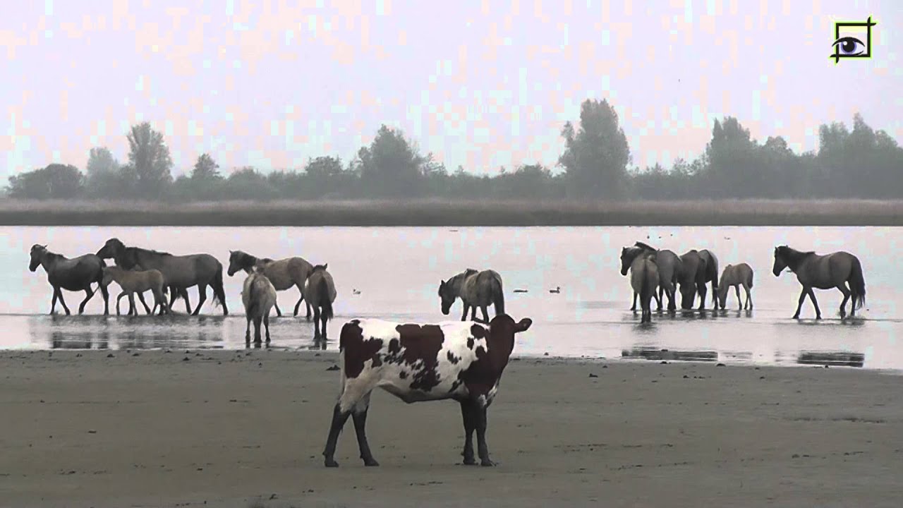 Dagje Lauwersmeer Ezumakeeg Natuurkanaal 20130520