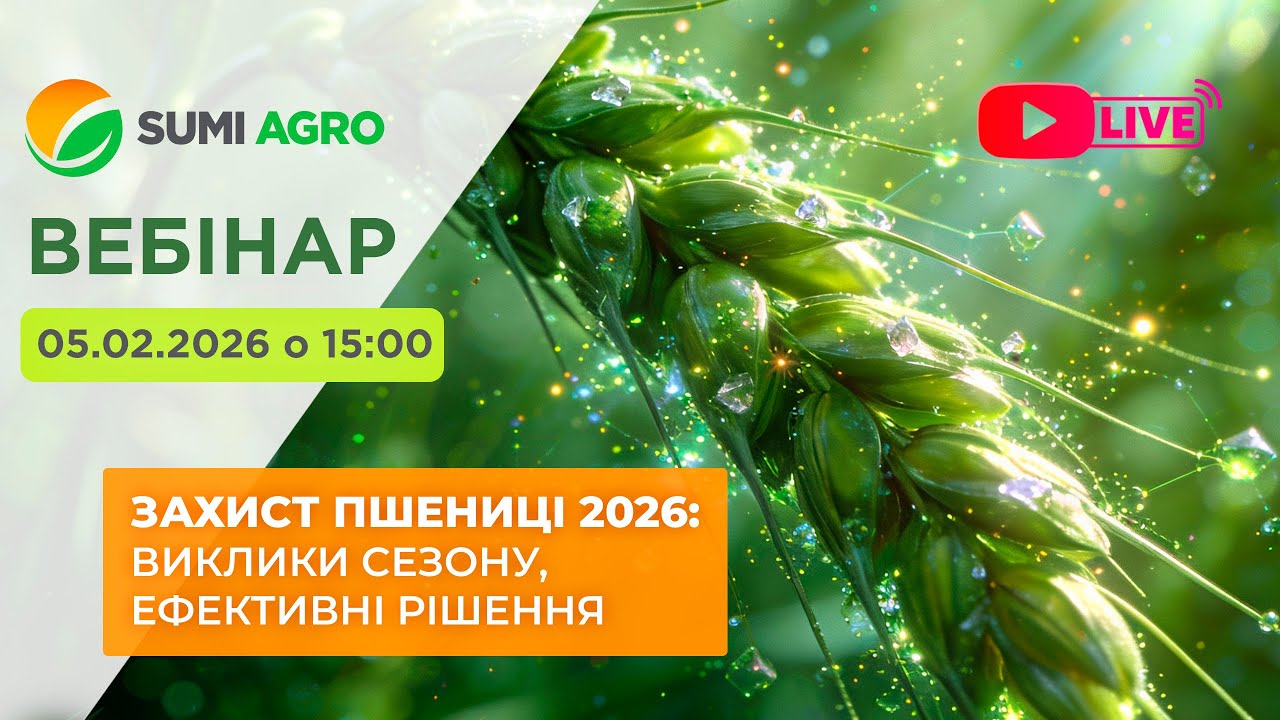 ЗАХИСТ ПШЕНИЦІ 2026: ВИКЛИКИ СЕЗОНУ, ЕФЕКТИВНІ РІШЕННЯ