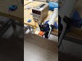 Building Barrel - 1