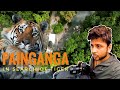 In search of tiger  painganga wildlife sanctuary  story of johny  indu