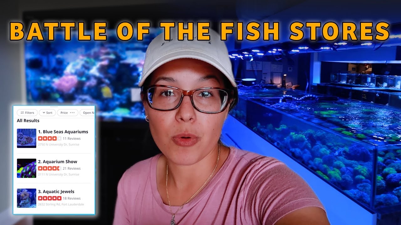 Touring the TOP 3 Local Fish Stores in My Area YouTube