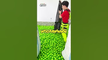 Thumbnail of Aku Isi Seluruh mesin Capit Manusia Dengan Bola!