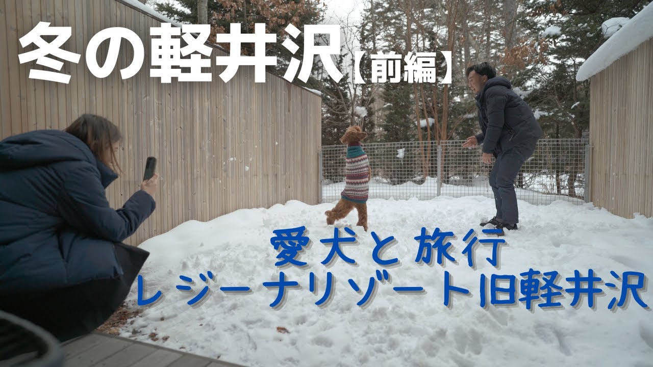 ラブラドゥードルと行く冬の軽井沢 前編 わんこと泊まれるホテル Youtube