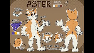 Aster ref - Short Timelapse