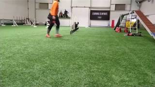 Weave-O-Everything 11Th Of February 2020