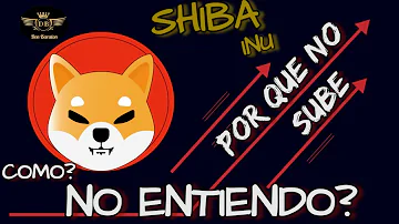 ¿Cuántas veces se debe pasear a un Shiba Inu?