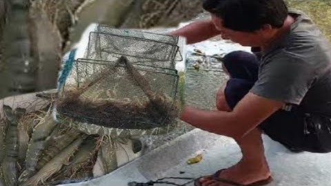 đi đặc lú 12 cửa ngục trên sông và cái kết hài hước.pho vlog