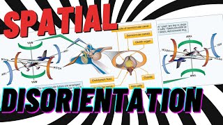 Escaping Spatial Disorientation: My Friend's Tragic Story