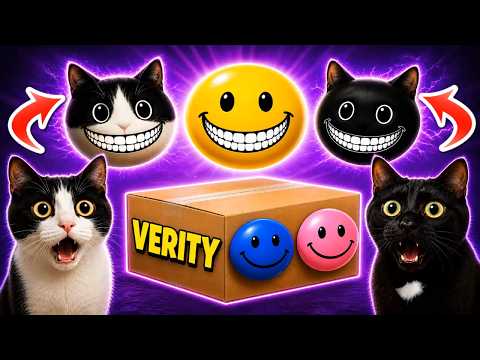 I OPEN VERITY'S MYSTERY BOX AND FIND FALSITY, LOVITY, AND MY CATS LIKE THIS! 😱