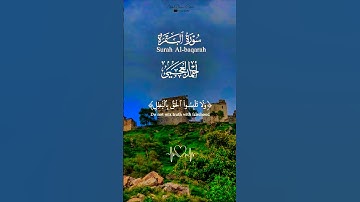 تلاوة تفوق الوصف بصوت يريح القلب #islamic_video #اكسبلور #تلاوة #المصحف #aslam #trend #duet