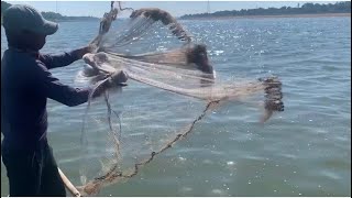 Traditional Fishing, Throw CastNet to catch the fish, there are a lot of #fish #fishtvnew #catch