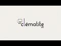 Vidéo: Clématite Countess of Wessex™ 'Evipo073'