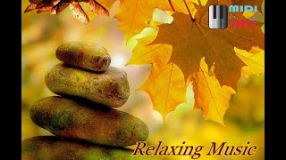 Relaxing Music, Deep Sleep, Stress Relief, Peaceful, Meditation, Yoga, Calming, Concentration, Study