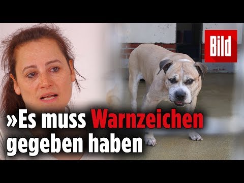 Eine Tierärztin erklärt, wie „Chico“ sein Frauchen und deren Sohn totbeißen konnte Eine Tierärztin erklärt, wie „Chico“ sein Frauchen und deren Sohn totbeißen konnte