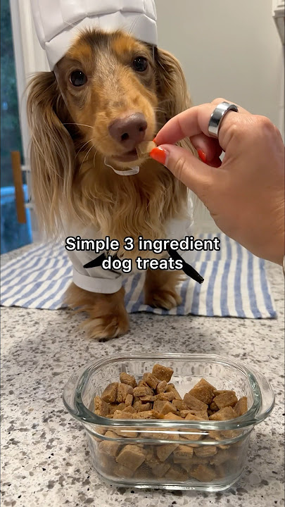Simple 3 ingredient dog treats😋 #dogtreats #homemade #recipe #dachshund #dog