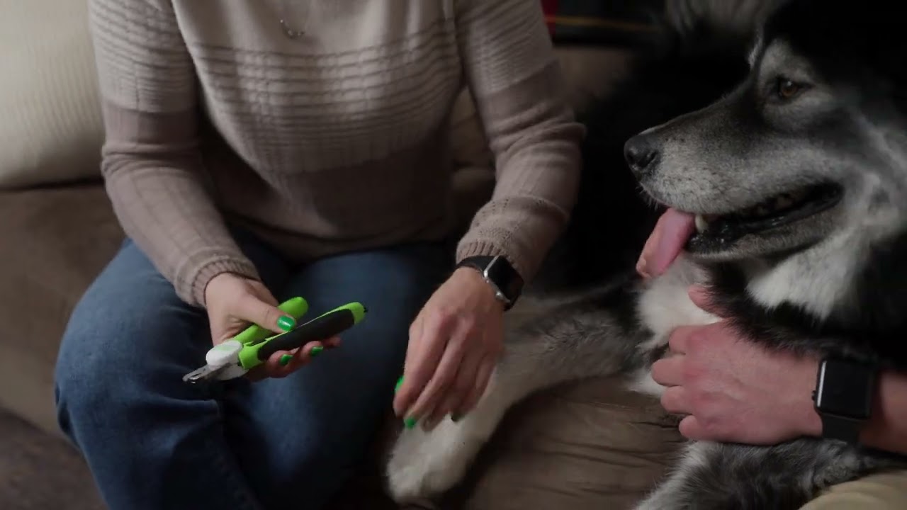 Mighty Paw Dog Nail Clippers