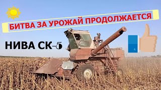 Нива СК-5 /УБОРКА ПОДСОЛНЕЧНИКА\