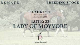 32 LADY OF MOYVORE