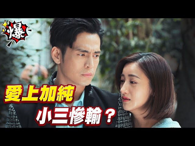 《多情大爆爆》多情城市 EP290 愛上加純 小三慘輸？