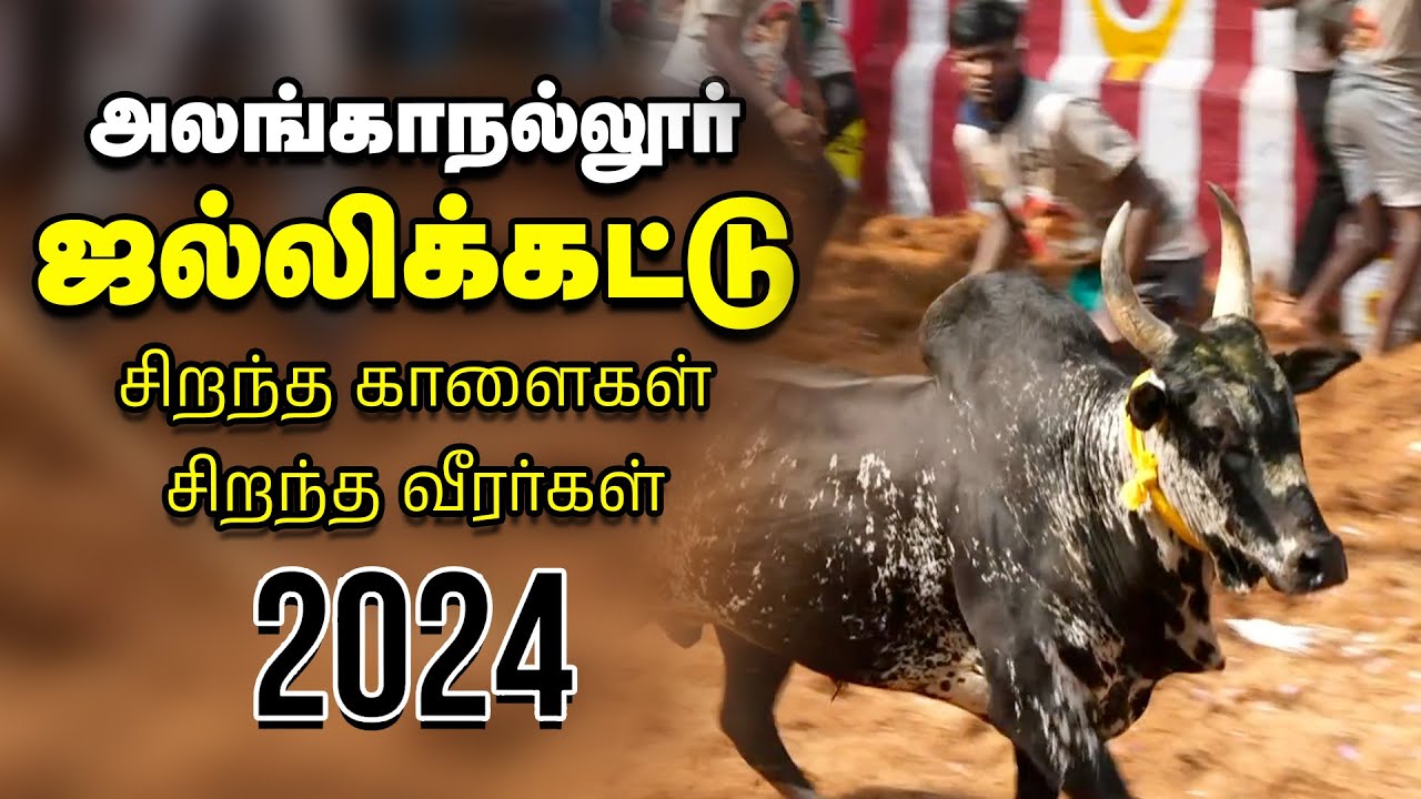 Jallikattu 2024       Vikatan