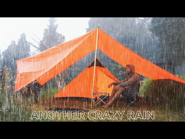 🌧️ STRONG RAIN & WIND! solo camping in heavy rain, 🔥 bonfire under the tarp, warm shelter class=