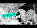 金沙溪人工湖的生態危機｜爭議聲中暫緩引發反思(我們的島 第1230集 2023-11-13)