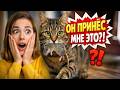Почему кот приносит вам добычу — причина вас удивит