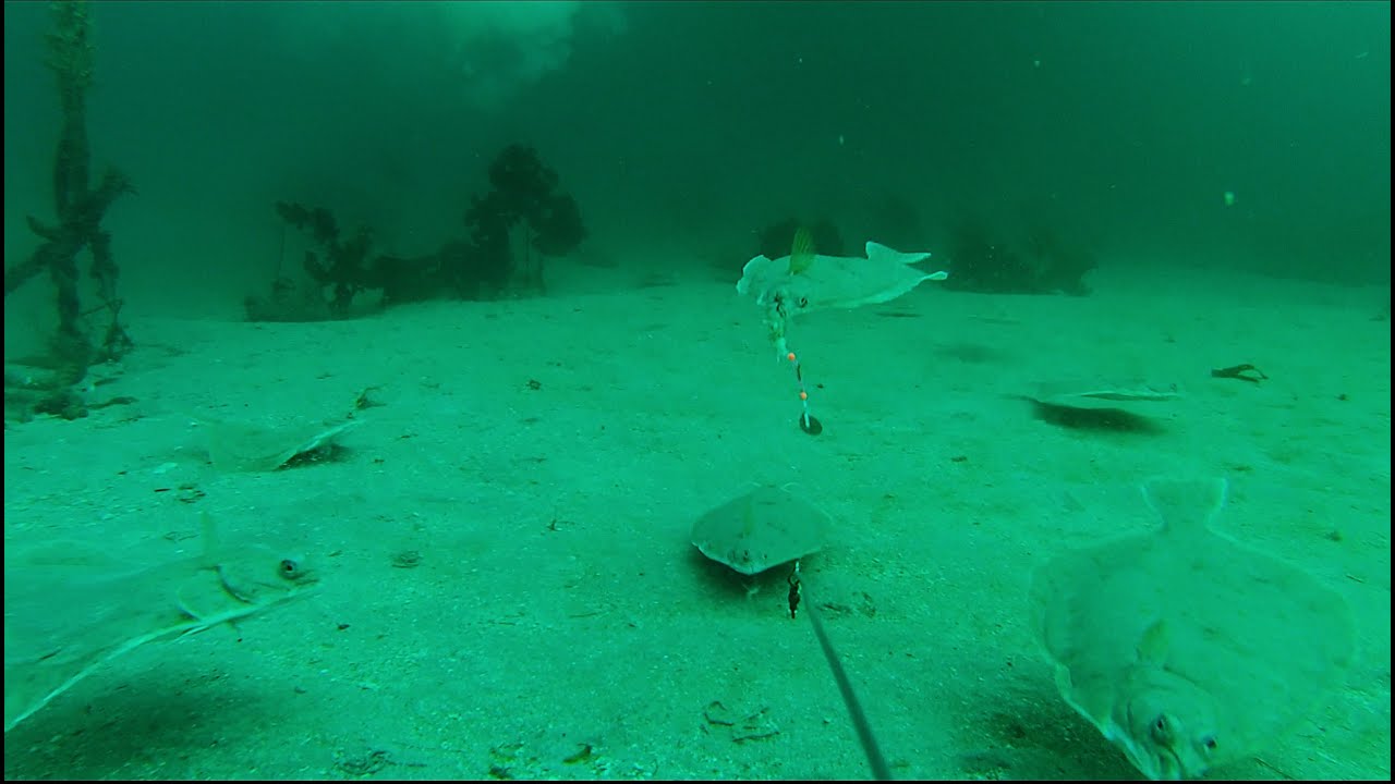 Fishing with GoPro in Norway (Sørøya, 2025)