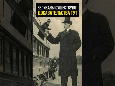 Всего один факт