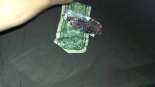 How to show off $1.85 and 4-5 gum wrappers.