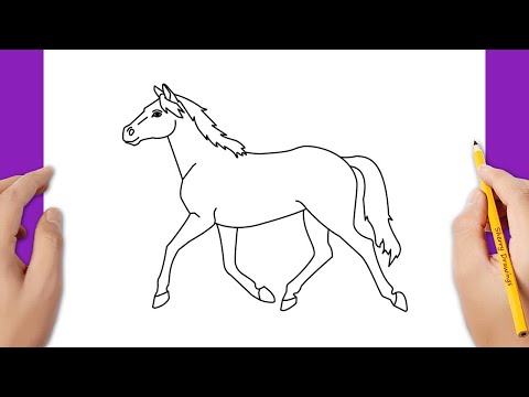 How to draw a horse