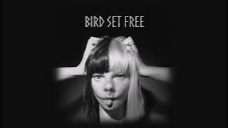 Sia - Bird Set Free (8D Audio)