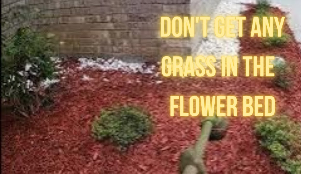 Lawn Care Last Cut Before The Rain YouTube lawn-care-last-cut-before-the-rain-youtube