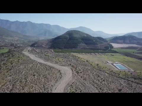 El cultivo del aguacate seca la zona central de Chile y amenaza sus comunidades