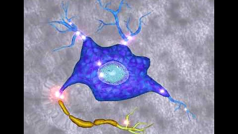 Diffuse Axonal Injury