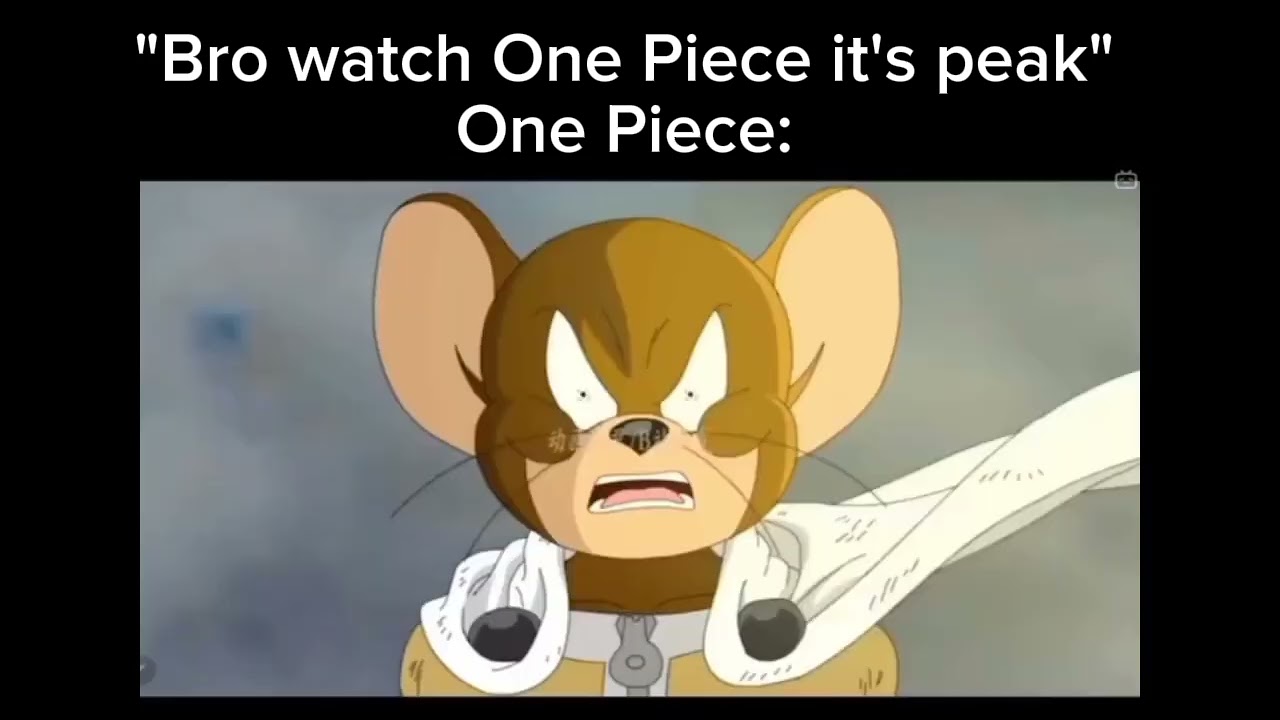Bro watch One Piece