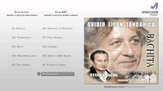 Ovidiu Lipan Tandarica - Ciocarlia (11/11) [Bachita]