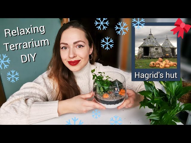 Hagrid's Hut Terrarium 🌿 Finishing my HARRY POTTER DIY project