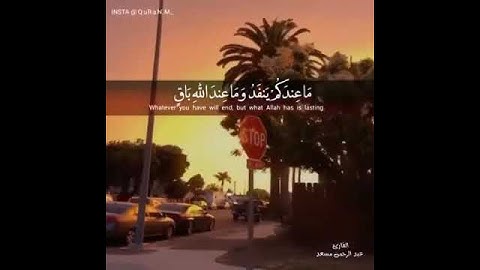 القارئ عبد الرحمن مسعد
