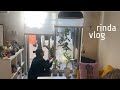50代女/一人暮らし/寒い日の引きこもり/映画を観る/焼きそばにピクルス作った/鎌倉レンバイ