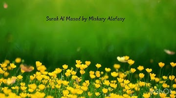 Surah Al Masad- Mishary Alafasy سورة المسد القارئ مشاري العفاسي